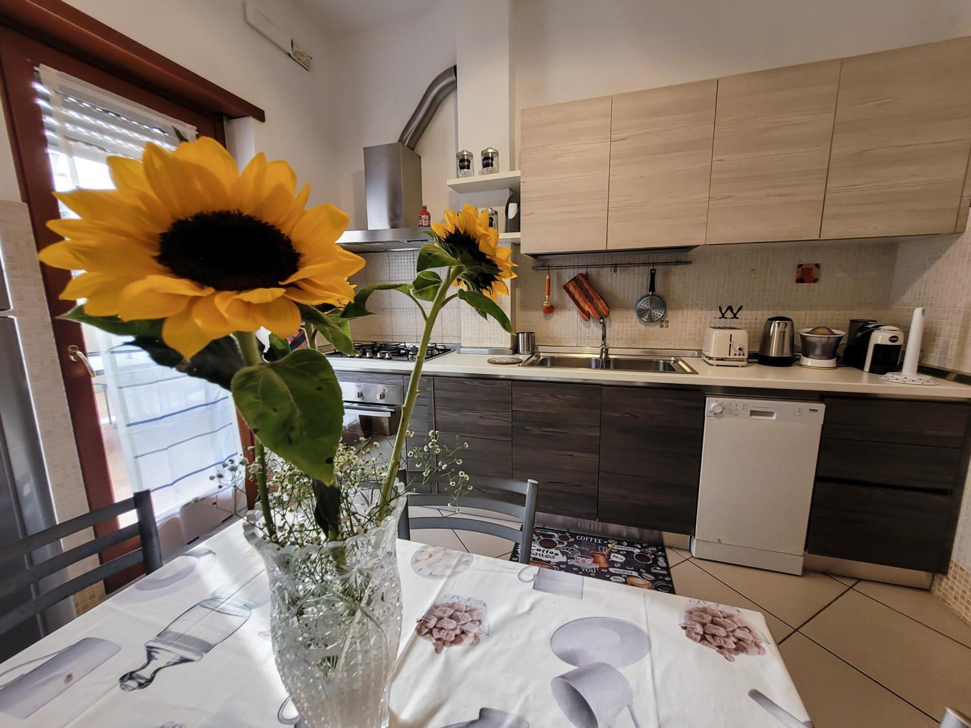 Appartamento Venus Marino Exteriör bild